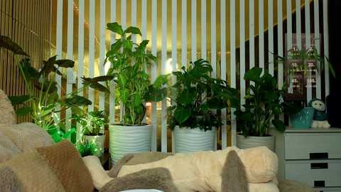 mialiahot free recording from 2025-12-07 00:05:00