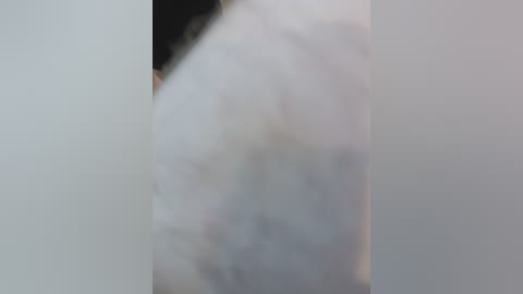 pechalka free recording from 2025-12-08 02:54:00