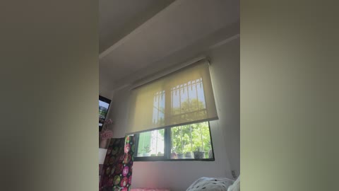 sallyeleins free recording from 2025-12-07 00:39:00