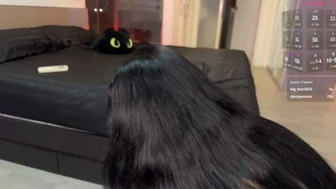 travel_couple free recording from 2025-12-08 02:54:00