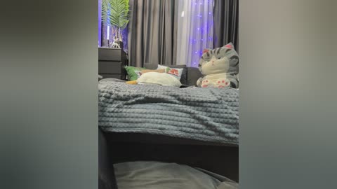 vero19nika free recording from 