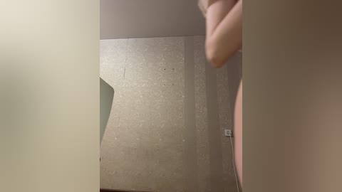 your_kissa_ free recording from 2025-12-08 00:21:00