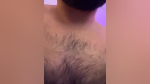 honeycouple free recording from 2025-12-10 00:03:00