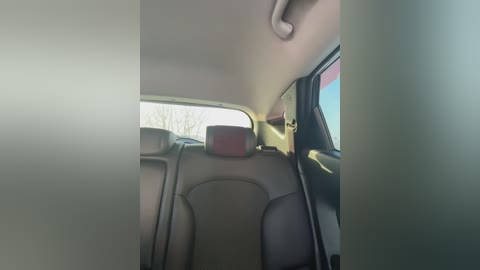 Video of a car interior, showing a black leather seat with red headrest, grey carpeting, and a sun visor. Outside, leafless trees and a cloudy sky are visible through the window.