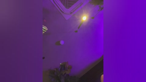 olivkavif free recording from 2025-12-11 00:00:00