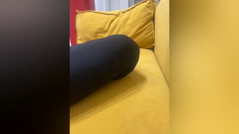 davit1 free recording from 2025-12-11 00:00:00