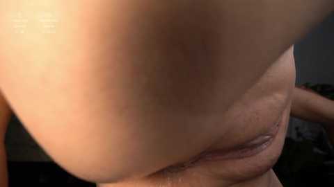 delpogorlo free recording from 2025-12-11 01:32:00