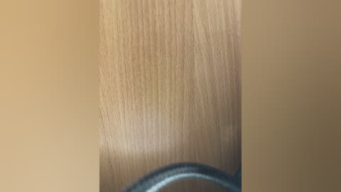 ginger_nipple1 free recording from 2025-12-12 00:16:00