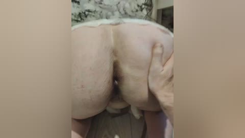 innokentiy449 free recording from 2025-12-11 00:00:00