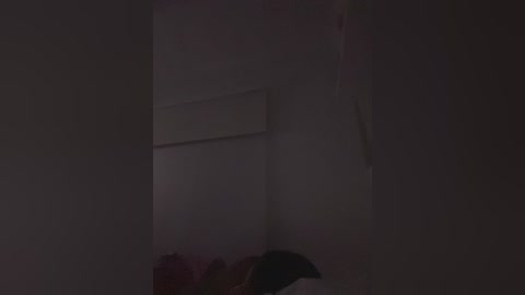 sallyeleins free recording from 2025-12-11 00:00:00