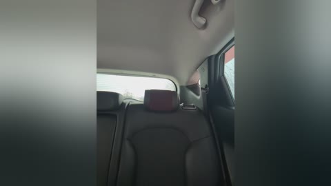 lovensesgirl free recording from 2025-12-12 00:16:00