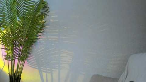 maribett free recording from 2025-12-13 00:12:00