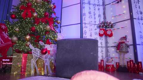 marry_cordy free recording from 2025-12-12 00:07:00