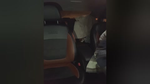 cat_meowa free recording from 2025-12-13 00:12:00