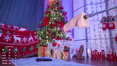 marry_cordy free recording from 2025-12-13 00:12:00