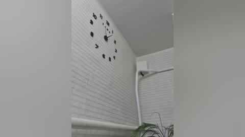 natalia1987 free recording from 2025-12-15 00:12:00