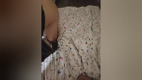 purpur33 free recording from 2025-12-15 00:12:00