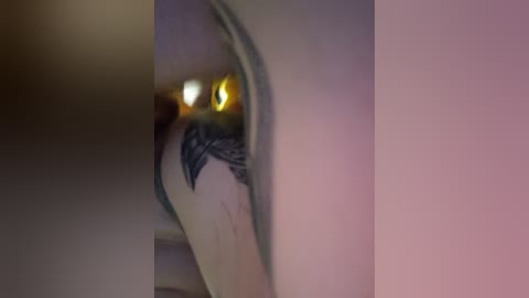 qeen777 free recording from 2025-12-13 00:12:00