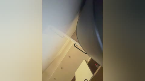 tvoyasamka77 free recording from 2025-12-13 00:12:00