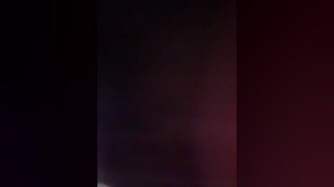 vip17coupledream free recording from 2025-12-13 00:12:00