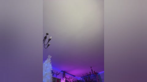 _annamaria_ free recording from 2025-12-14 00:06:00