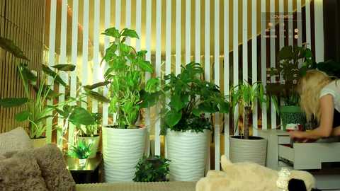 mialiahot free recording from 2025-12-14 00:21:00