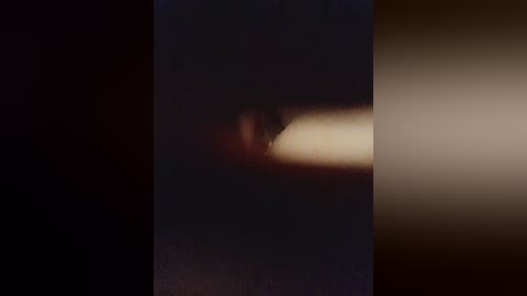 purpur33 free recording from 2025-12-15 00:12:00