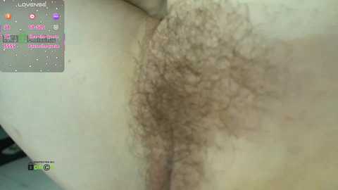 redaura free recording from 2025-12-15 00:21:00