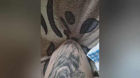 blackpanther1 free recording from 2025-12-16 00:02:00