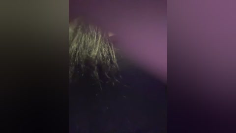 markaa0 free recording from 2025-12-16 00:02:00