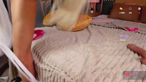 wild_angel777 free recording from 2025-12-15 00:12:00