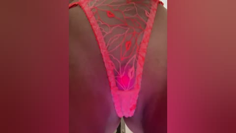 linnea free recording from 2025-12-16 06:13:00