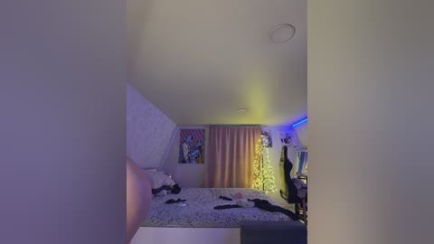 _maybebaby_ free recording from 2025-12-17 09:18:00