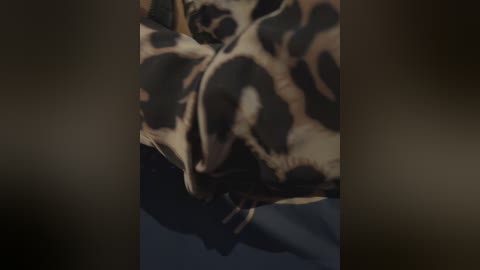 qwerty95777_1 free recording from 