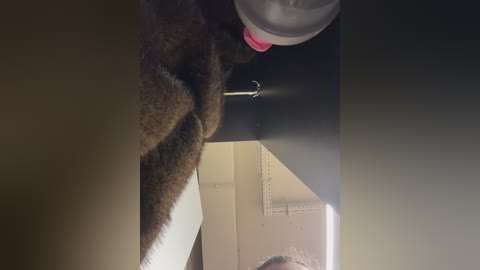 sasha_orlova free recording from 2025-12-17 00:12:00