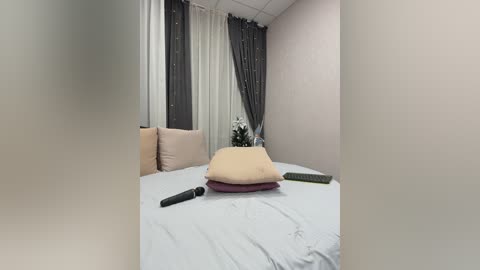 shamelesss free recording from 2025-12-17 00:12:00