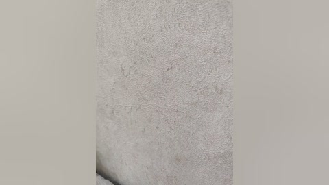 angelia22 free recording from 2025-12-18 01:06:00