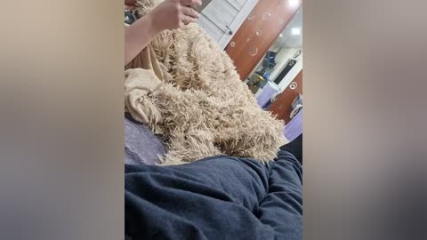 para222a free recording from 2025-12-19 00:03:00