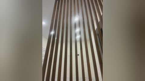 pararam free recording from 2025-12-18 01:06:00