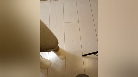 gerda_and_kai free recording from 2025-12-19 00:03:00