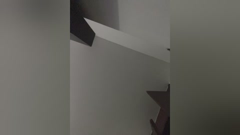 sallyeleins free recording from 2025-12-19 00:03:00