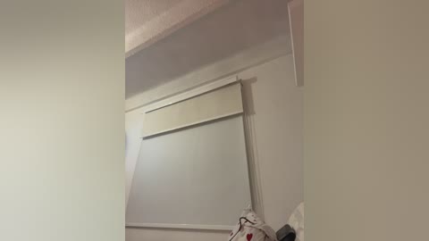 sallyeleins free recording from 2025-12-19 00:03:00