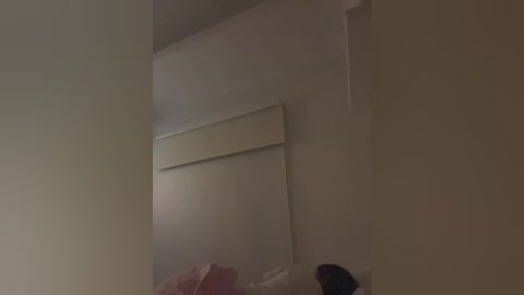 sallyeleins free recording from 2025-12-19 01:44:00