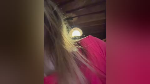 _leiaproseccina_ free recording from 