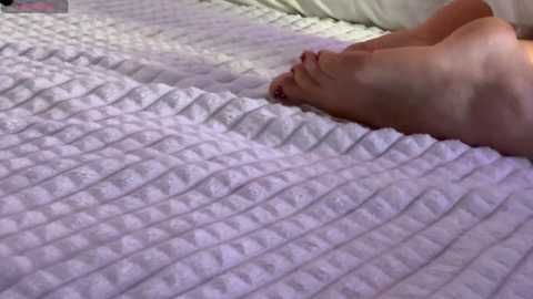 koketka free recording from 2025-12-20 01:00:00