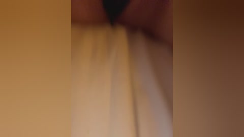 talilia free recording from 2025-12-20 01:00:00