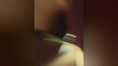 cat_meowa free recording from 2025-12-21 00:42:00