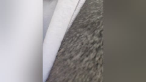 magic7788 free recording from 2025-12-21 00:24:00