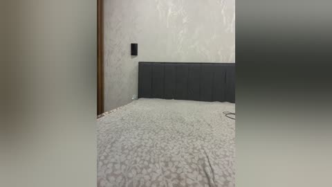 pararam free recording from 2025-12-21 00:42:00