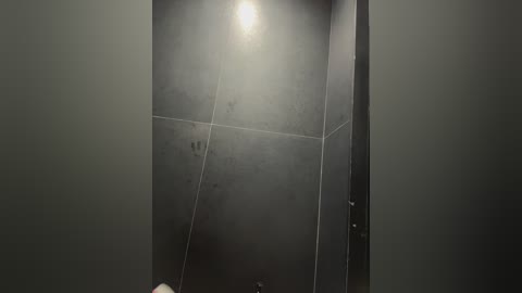 talilia free recording from 2025-12-21 00:24:00